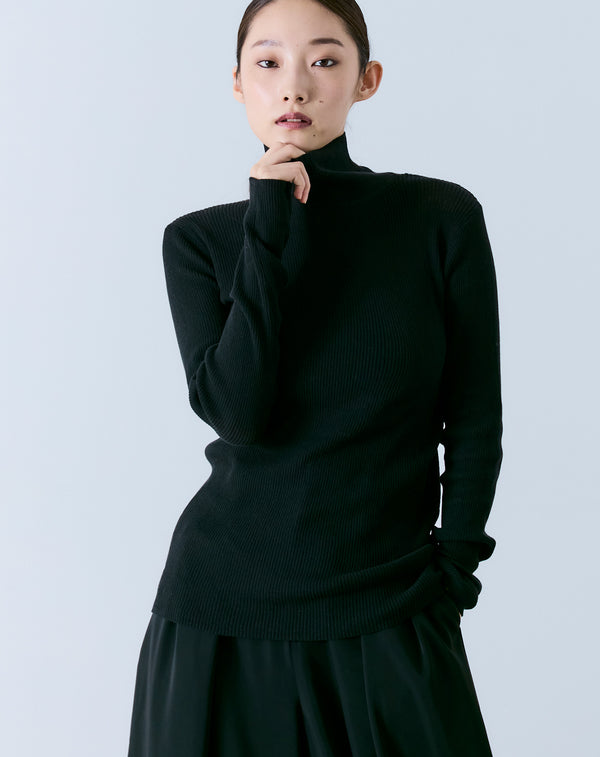 SHEER RIBBED TURTLE NECK KNIT