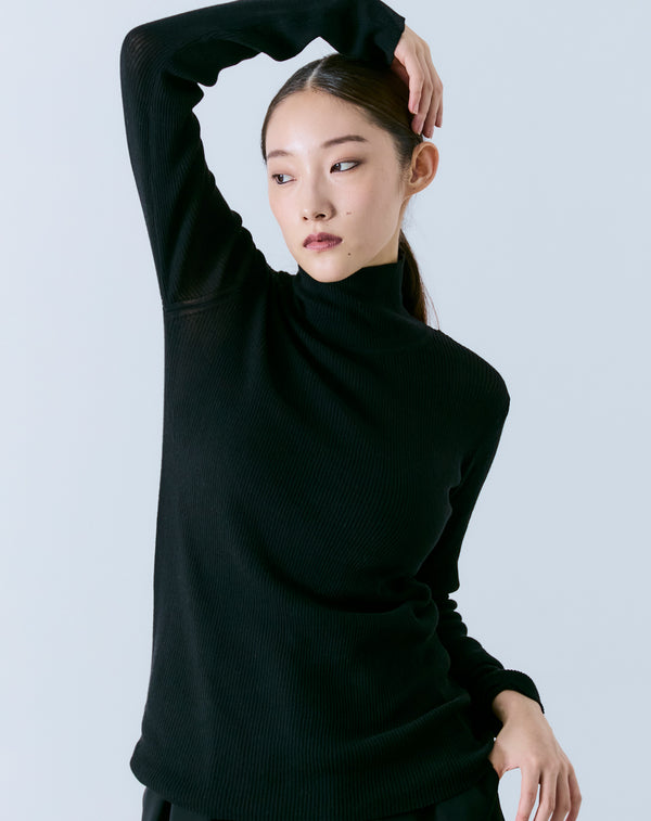 SHEER RIBBED TURTLE NECK KNIT