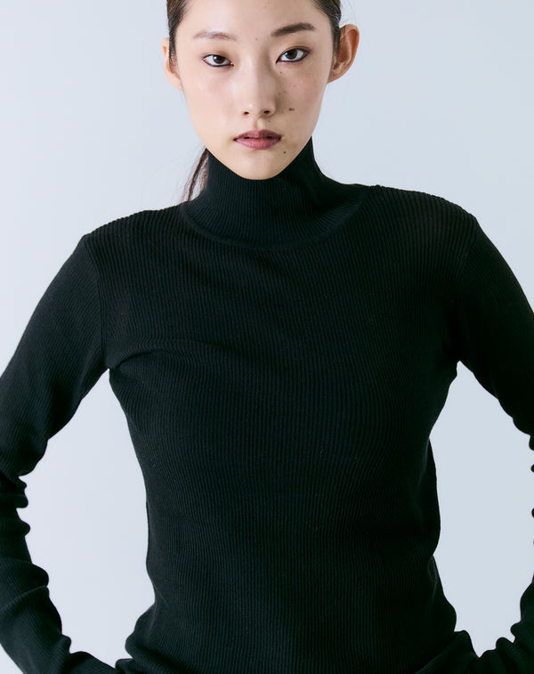 SHEER RIBBED TURTLE NECK KNIT