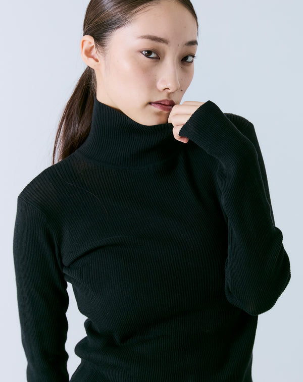 SHEER RIBBED TURTLE NECK KNIT