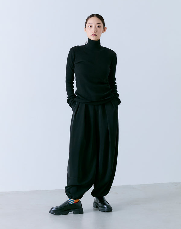SHEER RIBBED TURTLE NECK KNIT