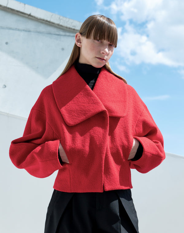 BIG COLLAR SHORT JACKET