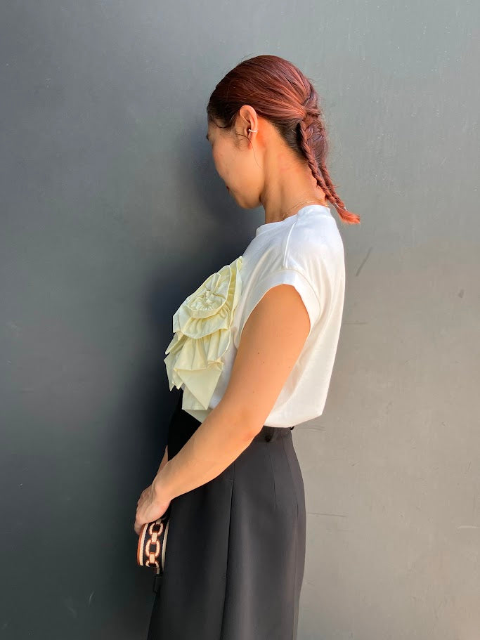 Back Image