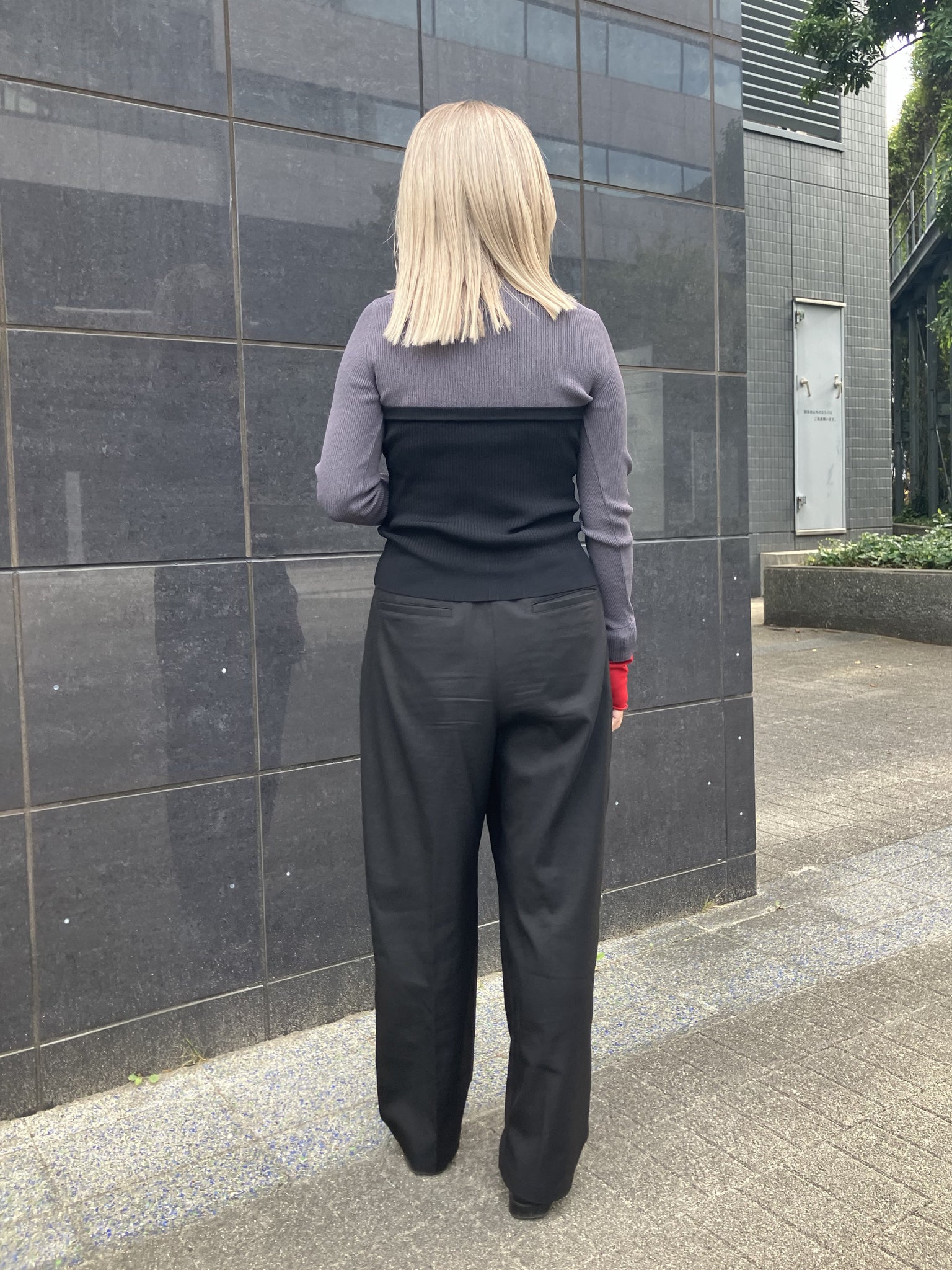 Back Image