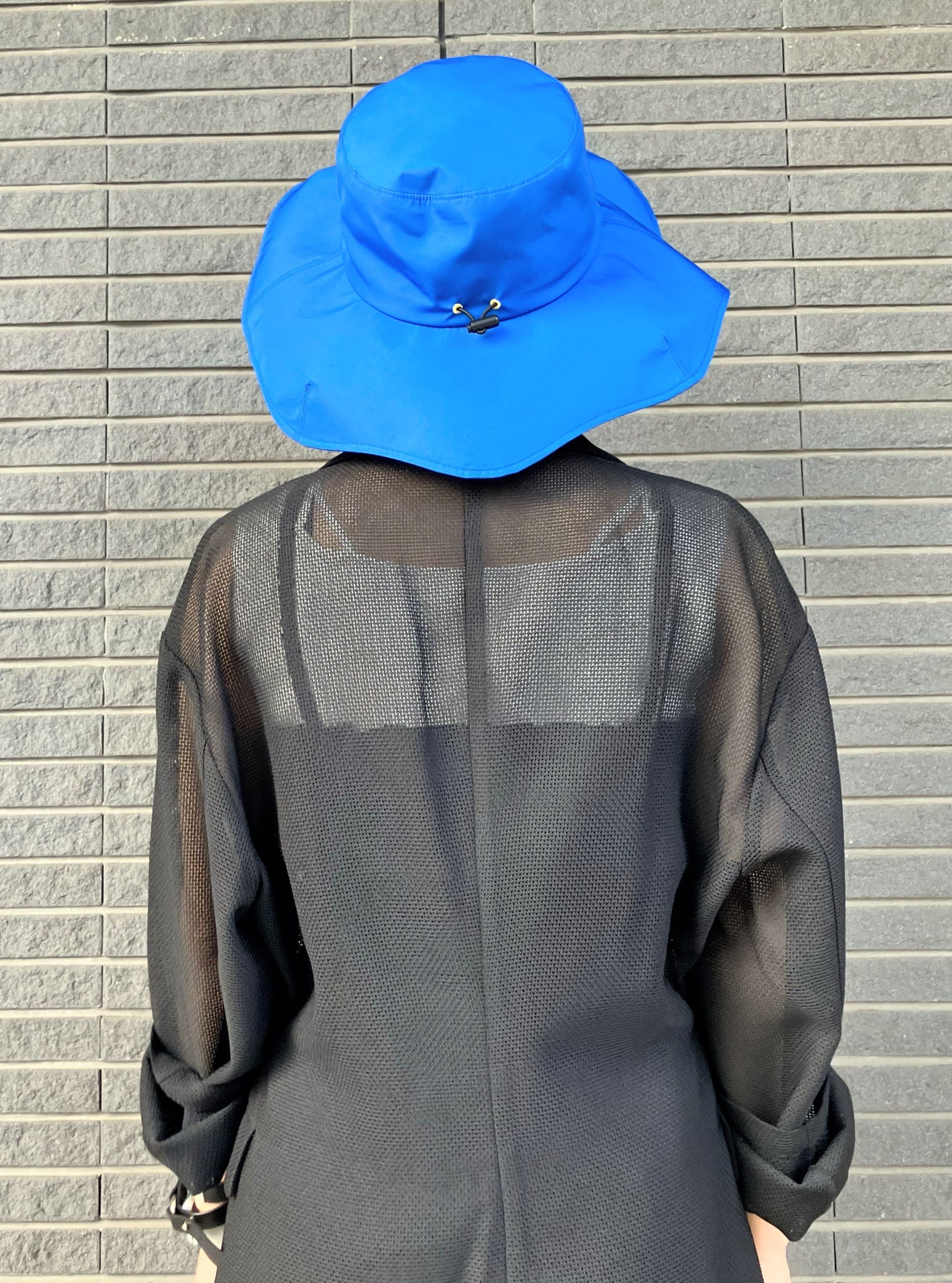 Back Image