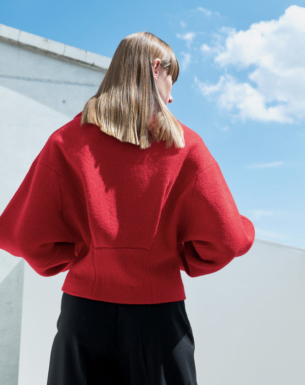 BIG COLLAR SHORT JACKET